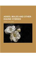 Asses, Mules and Other Equine Hybrids