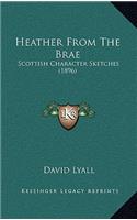 Heather from the Brae