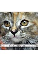 Petits Chats Tres Mignons 2018