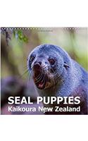 Seal Puppies, Kaikoura New Zealand 2018