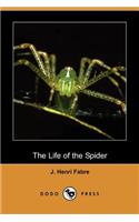 The Life of the Spider (Dodo Press)