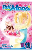 Tail of the Moon, Vol. 13