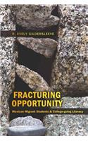 Fracturing Opportunity