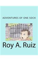 Adventures of One Sock