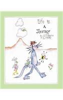 Life is a Journey