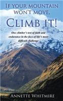 If Your Mountain Won't Move, Climb It!