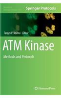 ATM Kinase