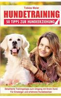 Hundetraining
