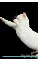 Mekong Bobtail Affirmations Workbook Mekong Bobtail Presents