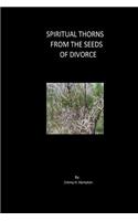 Spiritual Thorns From the Seeds of Divorce