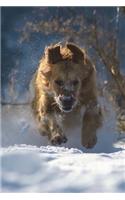 Dog Running Through the Snow Journal: 150 page lined notebook/diary