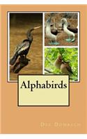 Alphabirds