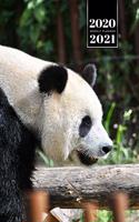 Panda Bear Week Planner Weekly Organizer Calendar 2020 / 2021 - Take a Walk
