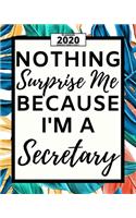 Nothing Surprise Me I'm A Secretary