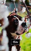 Boxer Dog Pup Puppy Doggie Notebook Bullet Journal Diary Composition Book Notepad - Cherry Blossoms Tree