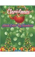 Christmas Adult Color By Numbers