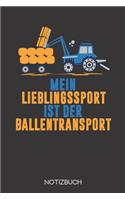 Mein Lieblingssport ist der Ballentransport!