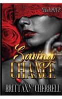 Saving Chance: A Domestic Violence Novella