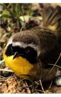 Common Yellowthroat (Geothlypis Trichas) Bird Journal: 150 page lined notebook/diary