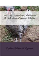 The Blue Andalusian Chicken and the Inheritance of Blue in Poultry