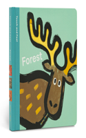 Spring Street Touch and Feel: Forest: (Spring Street)