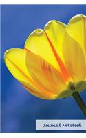 Journal Notebook.: (Diary, Notebook) Glossy Cover, White Blank book and lined 6"x9" 100 Pages.(Journal Notebook Flower Edition.)