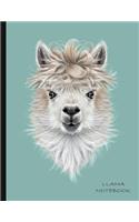 Llama Notebook