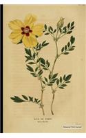 Botanical Print Journal
