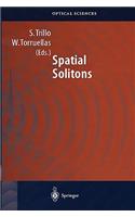 Spatial Solitons