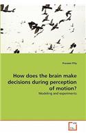 How does the brain make decisions during perception of motion?
