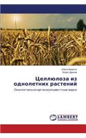 Tsellyuloza Iz Odnoletnikh Rasteniy