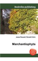 Marchantiophyta: (English)