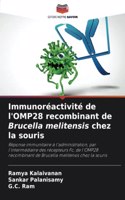 Immunoréactivité de l'OMP28 recombinant de Brucella melitensis chez la souris