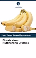 Einsatz eines Multihoming-Systems