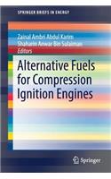 Alternative Fuels for Compression Ignition Engines