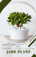 Jade Plant