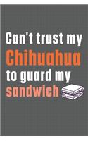 Can't trust my Chihuahua to guard my sandwich: For Chihuahua Dog Breed Fans
