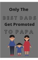 Only The Best Dads Get Promoted To Papa (100 Pages, 6 x 9 in)