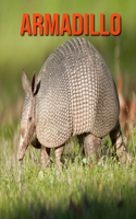 Armadillo