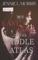 Last Rose of the Middle Atlas