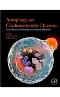 Autophagy and Cardiometabolic Diseases
