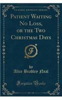 Patient Waiting No Loss, or the Two Christmas Days (Classic Reprint)