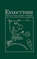 Endocytosis