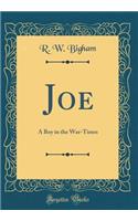 Joe: A Boy in the War-Times (Classic Reprint)