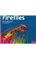 Fireflies