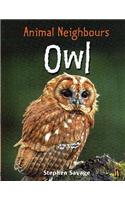 British Animals: Owl