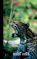 ocelot notes