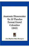 Anatomie Elementaire