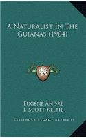 A Naturalist in the Guianas (1904)