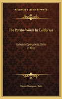 The Potato-Worm In California